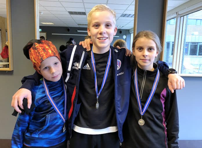 radagerdi_systkini2018