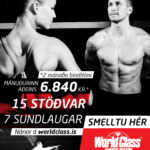 Betur_i_vetur_19_310x400_5