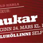 selfoss-haukar-24mars-kk-net