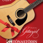 Seagull_Gitarjol_vef310x400_1911a