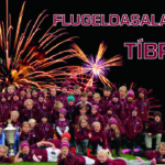 sunnlenska.banner-80 (1)