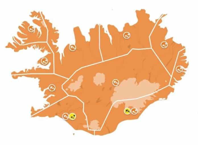 appelsinugul vidvorun