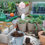 litla_gardb_augl.indd