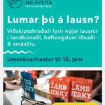 VB-banner-310×400-03