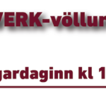 20200711 S-Fjarðabyggð 2D kk – Vefborði