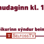 pepsi2020auglýsing_banner