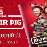 Husa_jolablad_1018x360