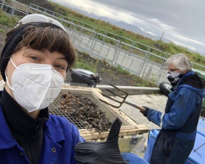 Björk Brynjarsdóttir