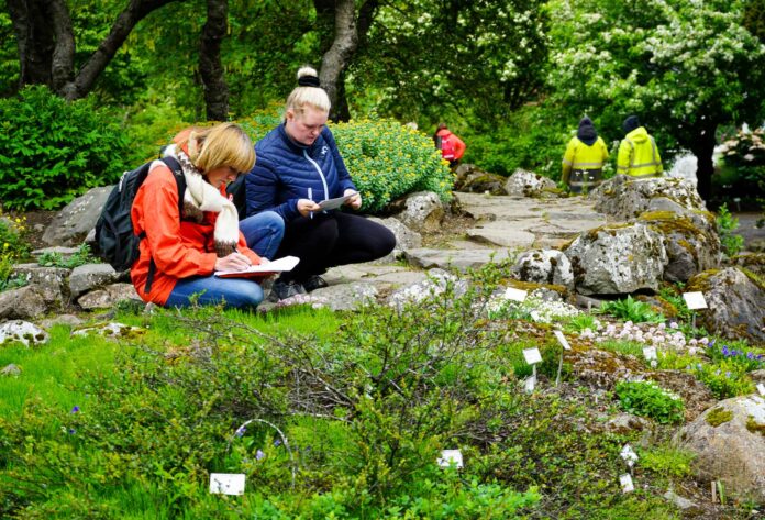 nynemar_reykir_grasagardur-55