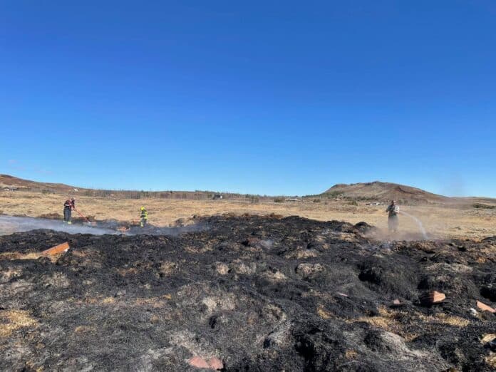 Sinubruni Grímsnesi