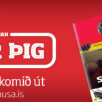 Skyn_maí_husablad4