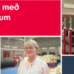 sunnlenska_borði_nedri (1)