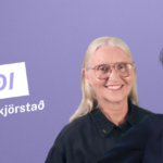 Vefborði – 720×210 – Píratar Suðurkjördæmi