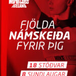 Fjolda_namskeida_310x400