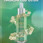 HealingIceland-310×400-2022-1