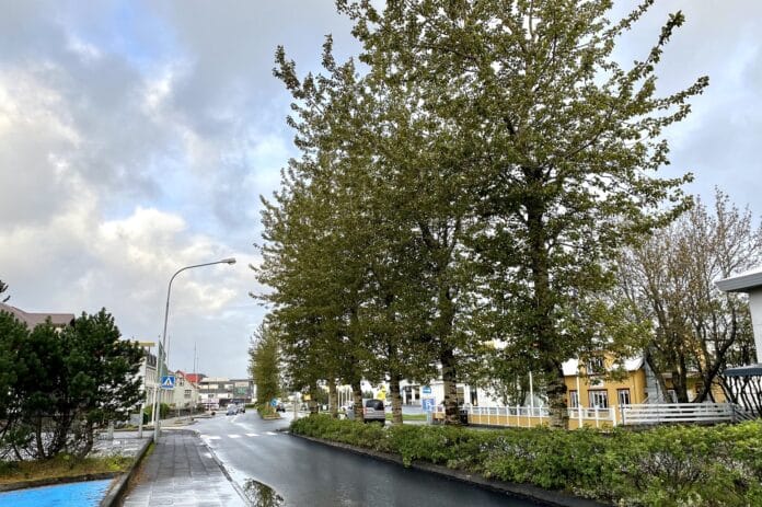 Austurvegur Selfossi 2021