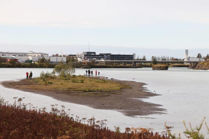 Fremri Laugardælaeyja