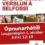 lifland-selfoss-opnunarhatid-310×400