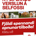lifland-selfoss-opnunarhatid-310×400-2