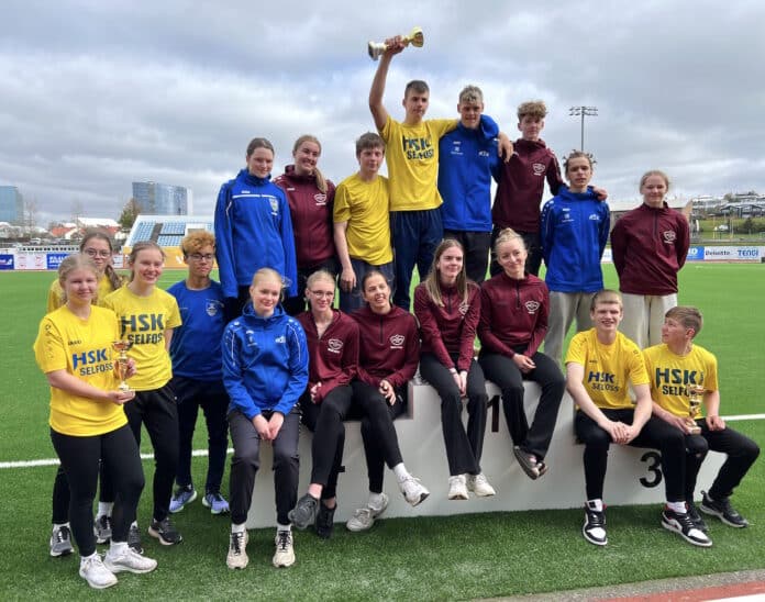 HSKSelfossMI15222023