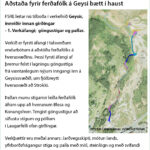 rikiskaup – geysir