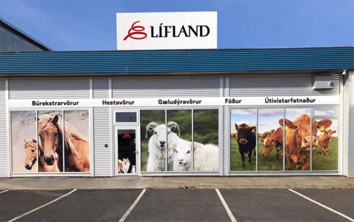 lifland-selfoss-verslun-s