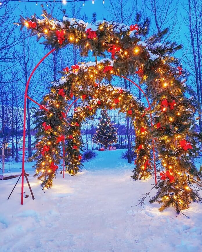 Lystigarðurinn jól (1)