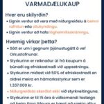 auglysing_styrkir_310x400