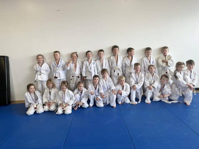 Selfoss judo
