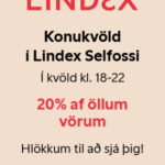 Lindex ads 300×400 12_06 (1)
