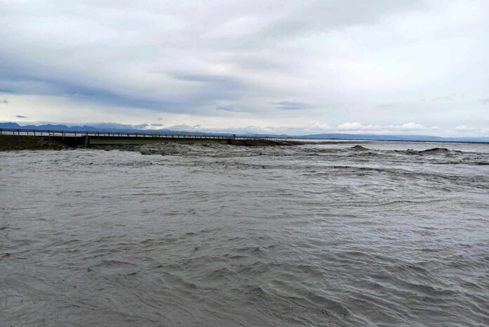 Skálm þriðja Ninn 3