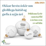 Háskólafélag Jól 2024