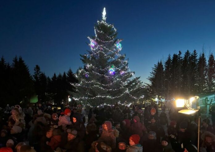 M_Tendrað á trénu 2024 (10)