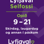 Lyfjaval-A563-Páskaopnun-vefborðar_310x400