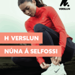 Sunnlennska_vefbordI_310X400