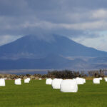 Ellefu milljónir króna í styrki á Suðurland