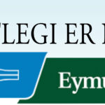 Auglýsing Hobbitinn Selfoss