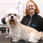 „Vil ekkert tala við fólk ef hundarnir eru í boði“