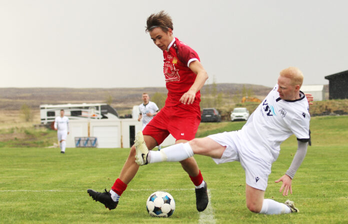 Auðunn Ingi Hafsteinsson