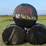 Nei-ið vann stórsigur í Suðurkjördæmi