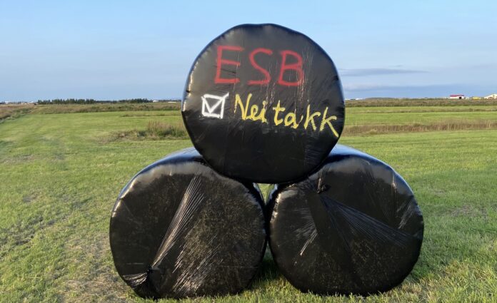 ESB nei takk
