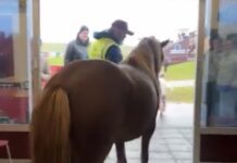 Klár í slaginn á Selfossvelli