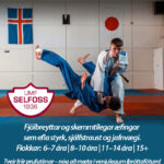 judodeild