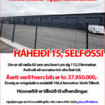 haheidi