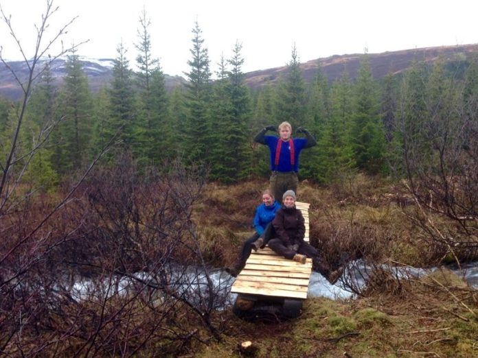 Danskir_skogtaekninemar_i_verknami_339748193