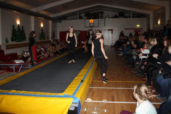 Fimleikar_054_392668772