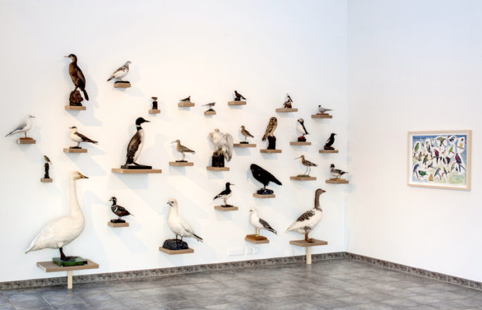 Fuglar_i__slands___eitt_verkanna_a___sy__ningunni_370988172