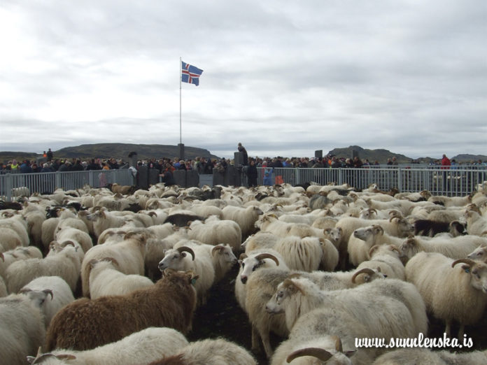 HRUNARETTIR2012__9__442080656