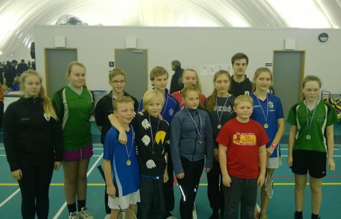 HSK_badminton2013ky_496064186