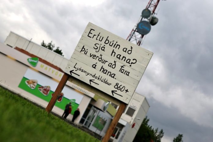 Ljo__smyndas_007_862150950